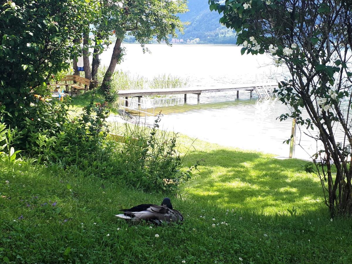 Maren Seeblick Appartement Haus Haensel&Gretel Direkt Am Ossiacher See Mit Hallenbad Stiegl Exteriör bild
